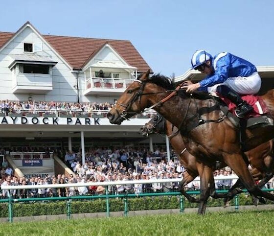 Temple Stakes Trends
